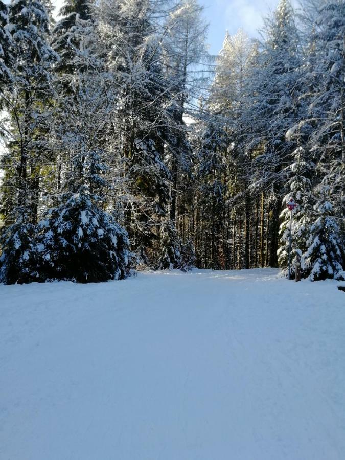 Rodinný Apartmán Harrachov 606 Esterno foto